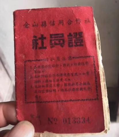 金山明星,小巷中的美食秘境