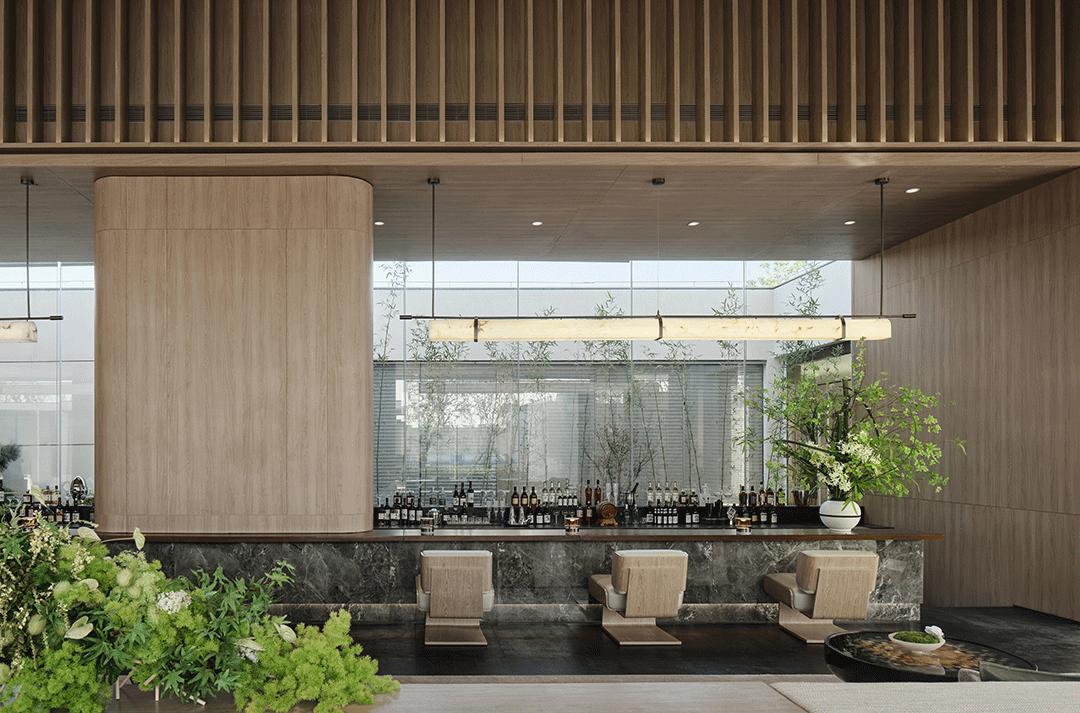 最新视飞精彩视频