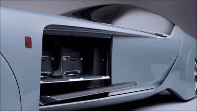 黑螃蟹与红螃蟹的竞赛传奇对决！