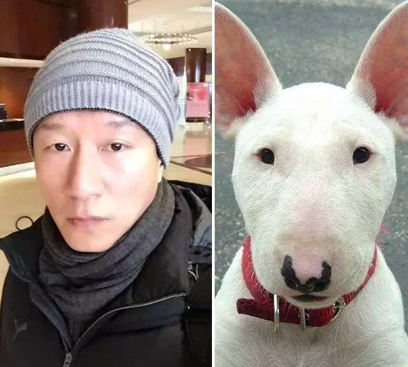 明星瘦身背后的故事与影响，揭秘瘦身背后的秘密