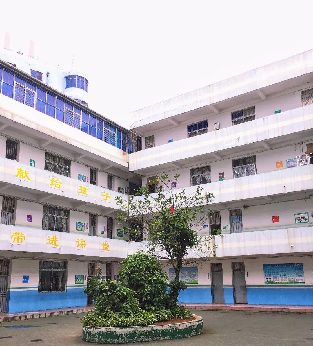 电视剧青春岁月，观看与感悟的旅程