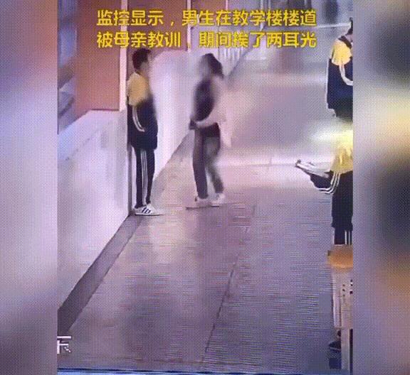 张某锐最新观点论述解析