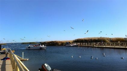 居延海门票信息详解,轻松获取入场券攻略