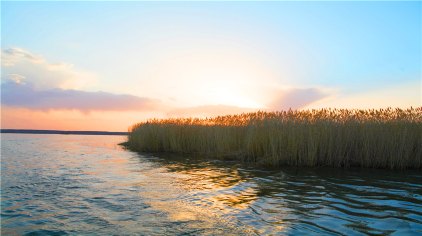 居延海门票信息详解,轻松获取入场券攻略
