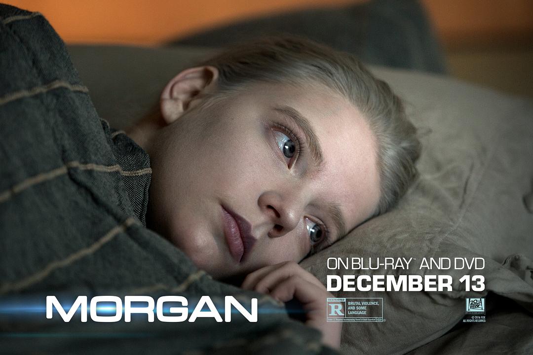 摩根电影制作指南，从起步到完成的详细步骤