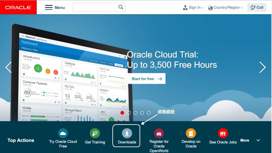 Java最新版下载,探讨与观点分析