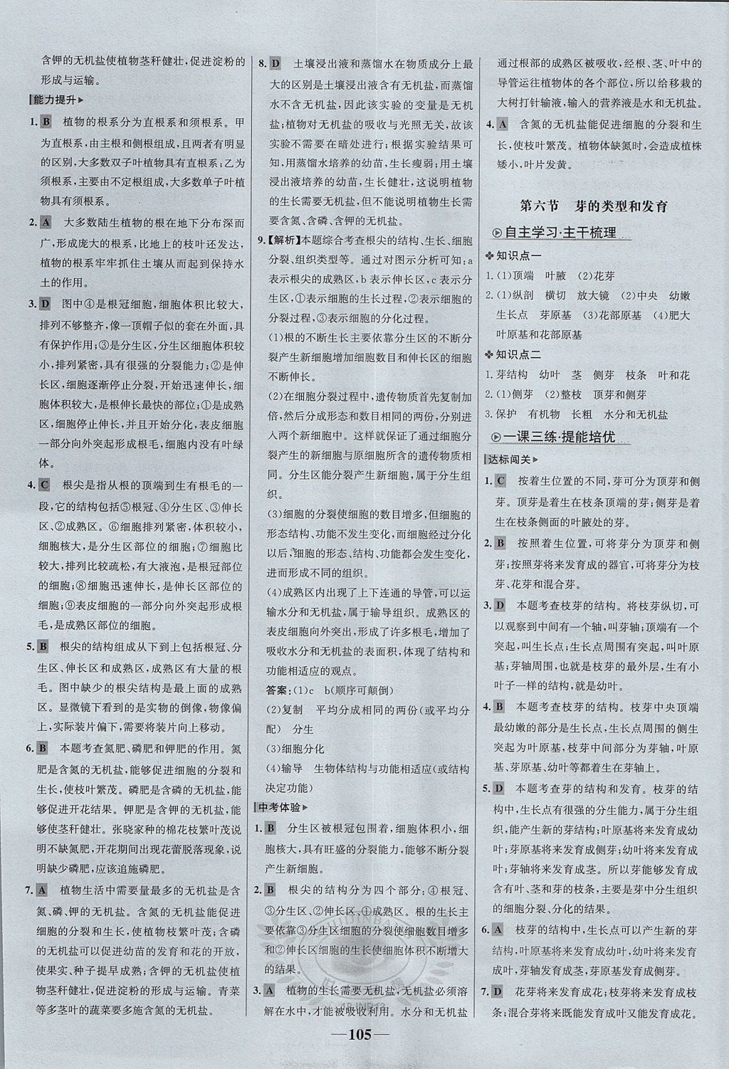 揭秘2017世纪金榜答案解析，小巷中的秘密特色小店解析