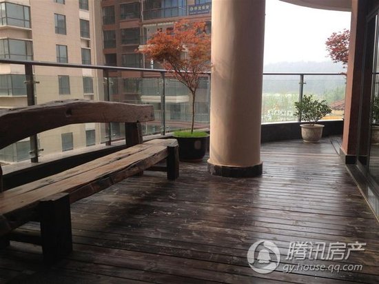 金龙国际新城最新动态更新，最新进展与资讯汇总