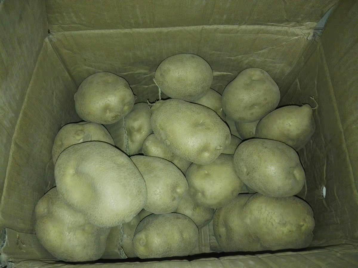 揭秘供给价格弹性因素，一场友情与理解的温馨探索之旅