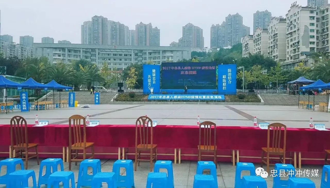 辽宁H7N9疫情最新动态2017，全面指南，了解、预防与应对，适用于初学者与进阶用户