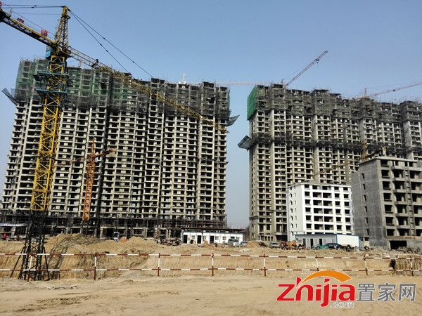 大名祥云福邸最新动态与资讯速递